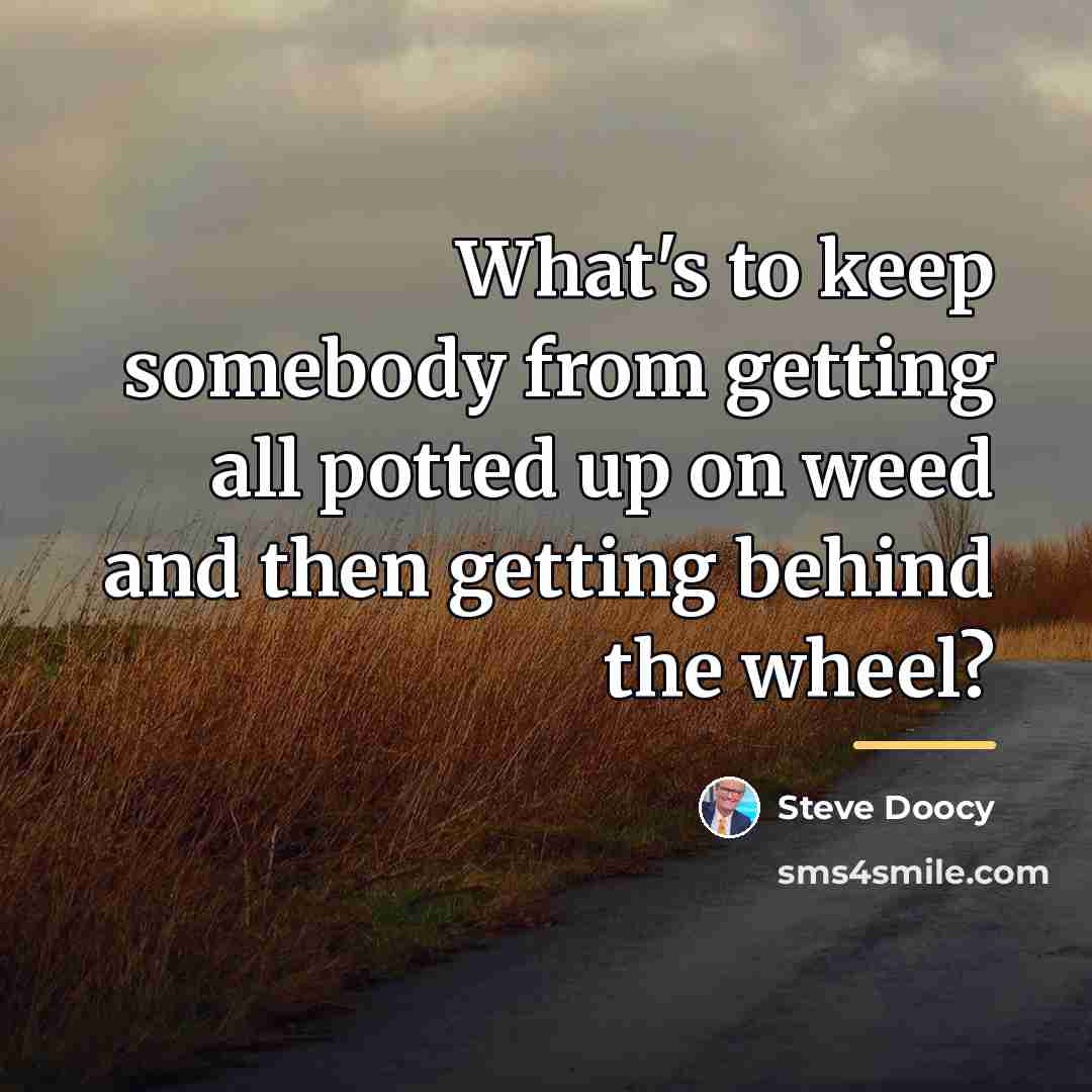 “What's to keep somebody from getting all potted up on…” quote by Steve Doocy