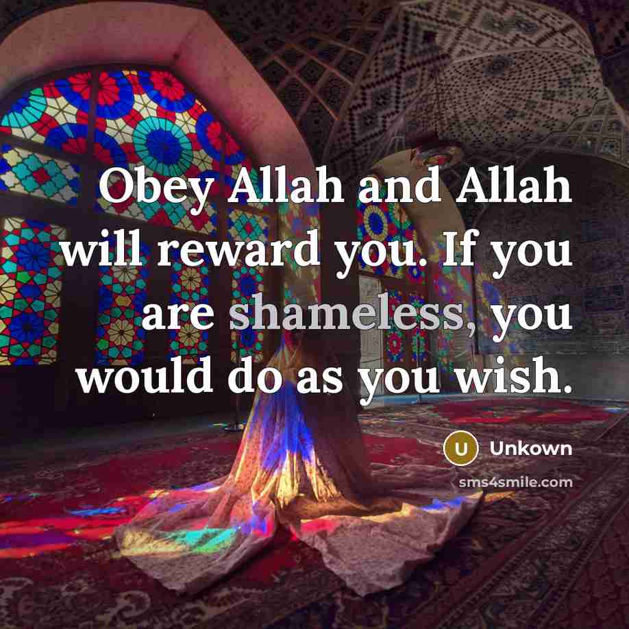 “Obey Allah and Allah will reward you. If you are…” quote by Unkown