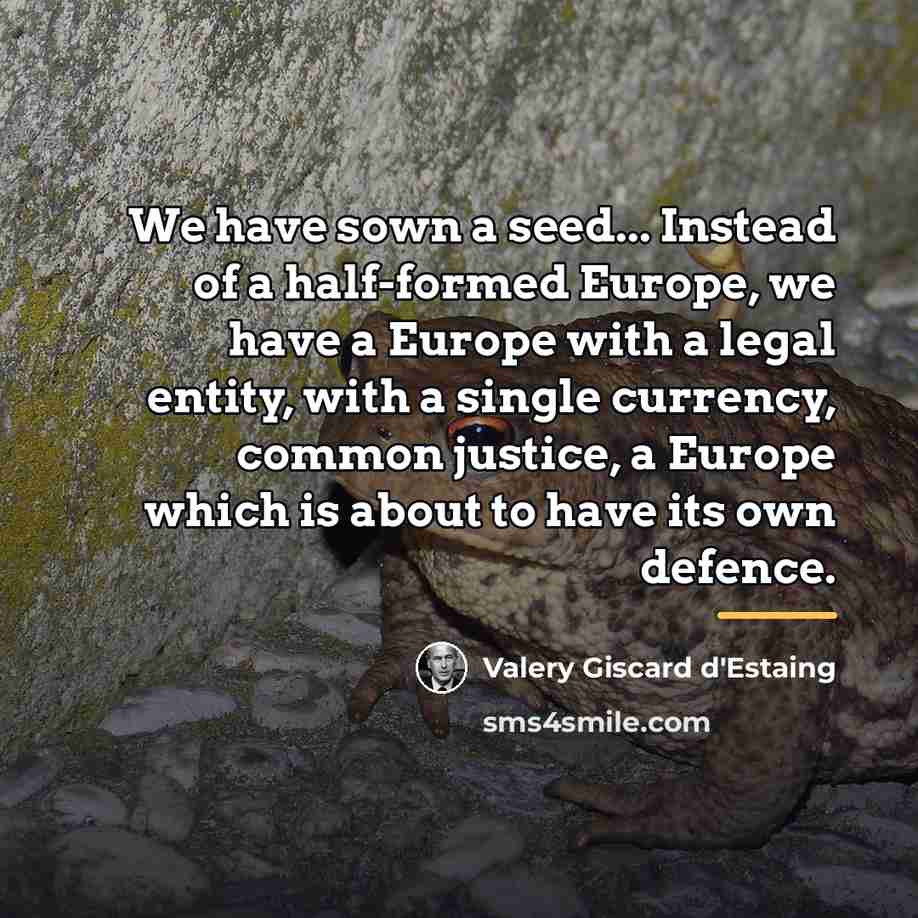 “We have sown a seed... Instead of a half-formed Europe,…” quote by Valery Giscard d'Estaing