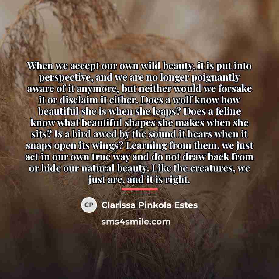 “When we accept our own wild beauty, it is put…” quote by Clarissa Pinkola Estes