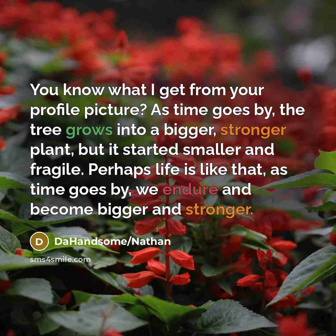“You know what I get from your profile picture? As time goes by, the tree grows into a bigger, stronger plant, but it started smaller and fragile. Perhaps life is like that, as time goes by, we endure and become bigger and stronger.” quote by DaHandsome/Nathan