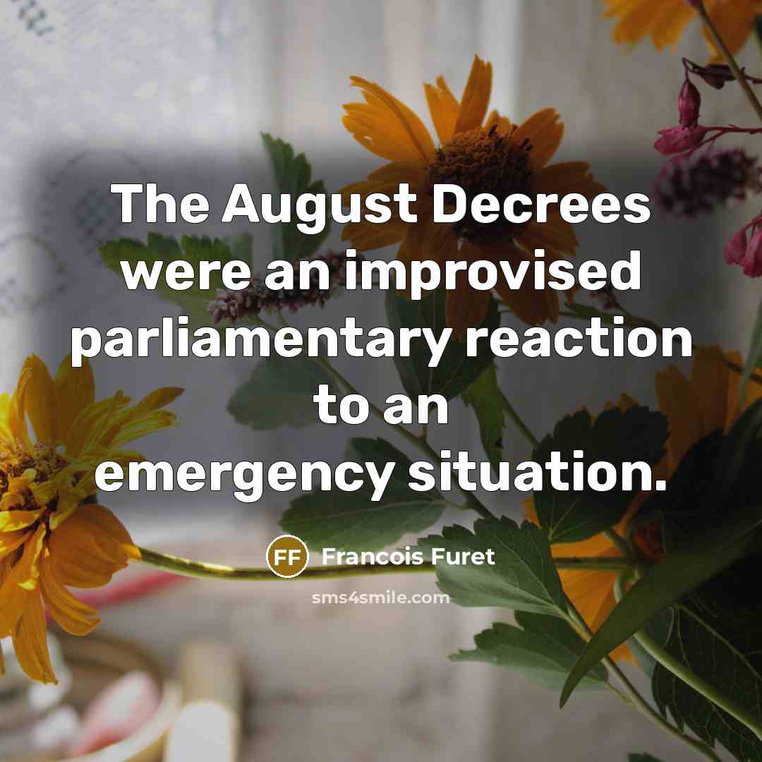 “The August Decrees were an improvised parliamentary reaction to an…” quote by Francois Furet