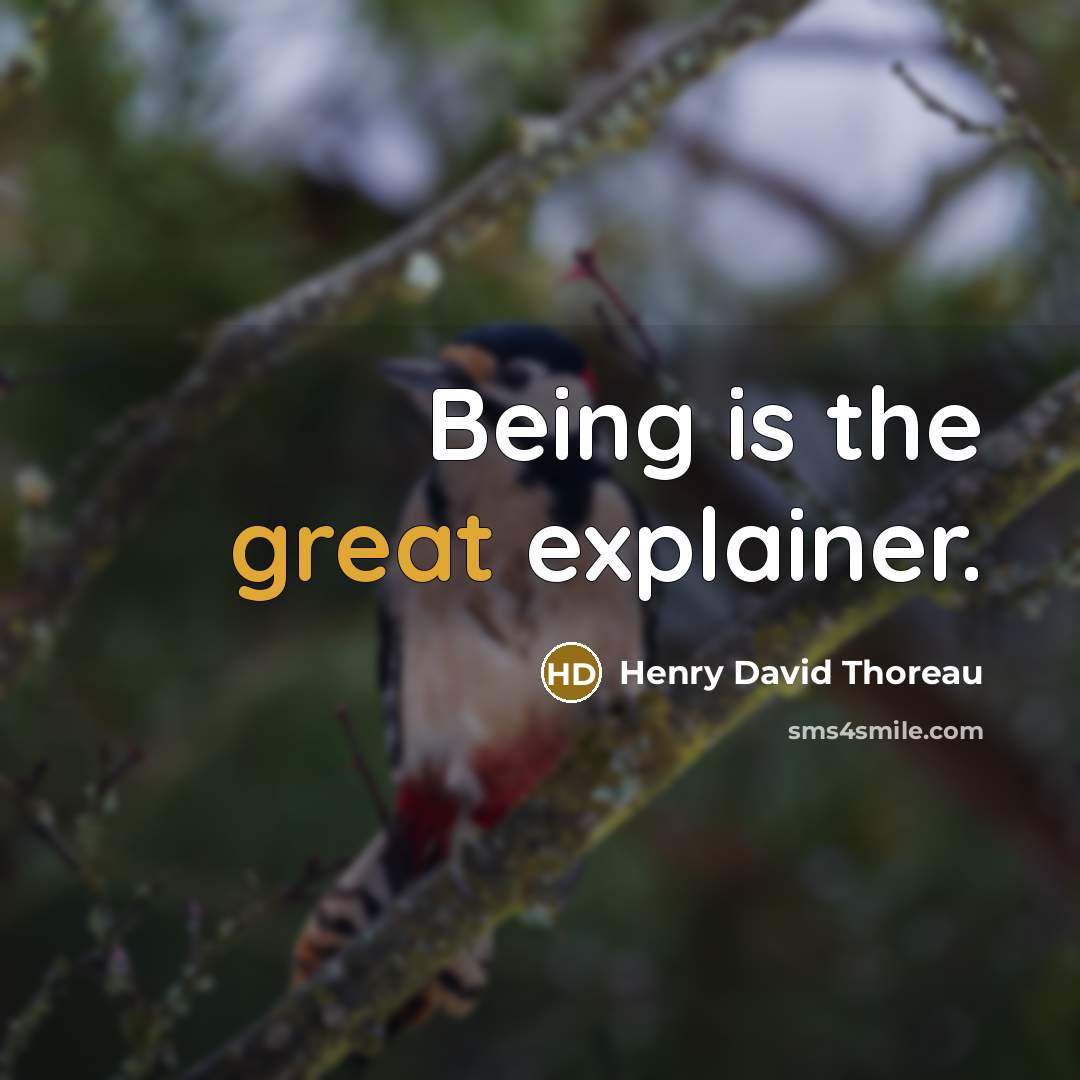 “Being is the great explainer.” quote by Henry David Thoreau