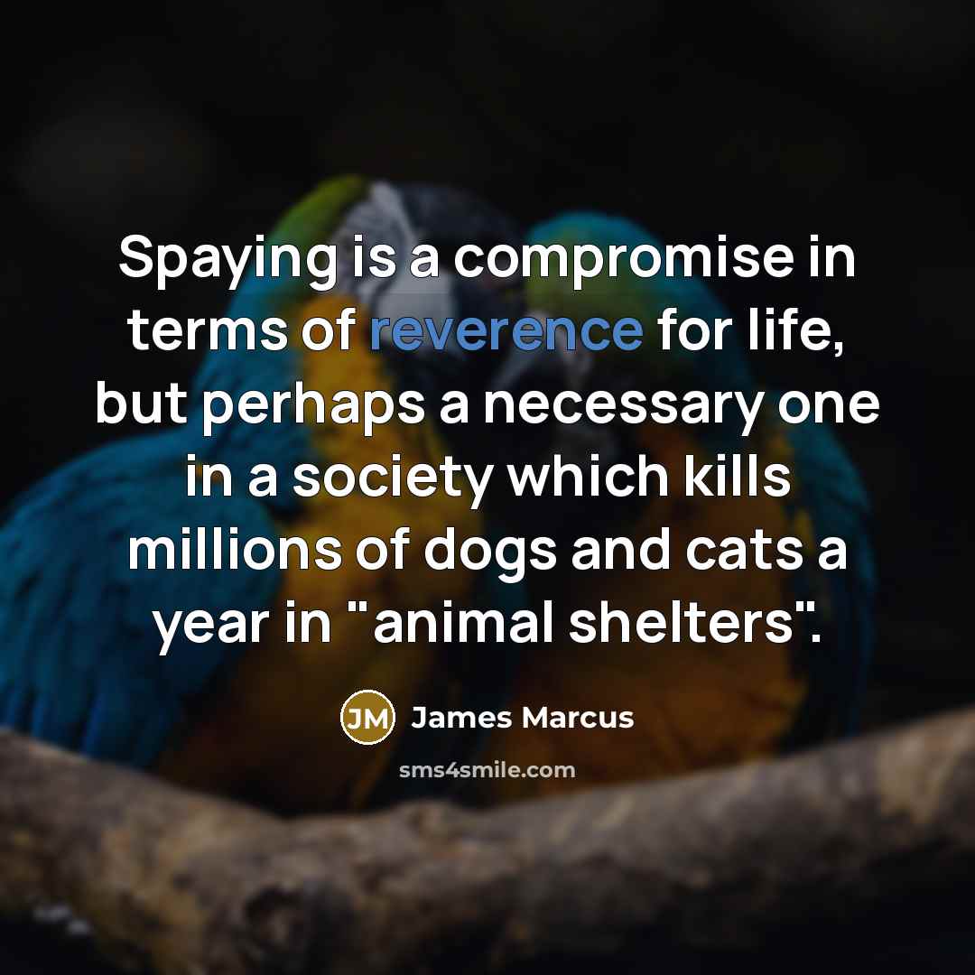 “Spaying is a compromise in terms of reverence for life,…” quote by James Marcus
