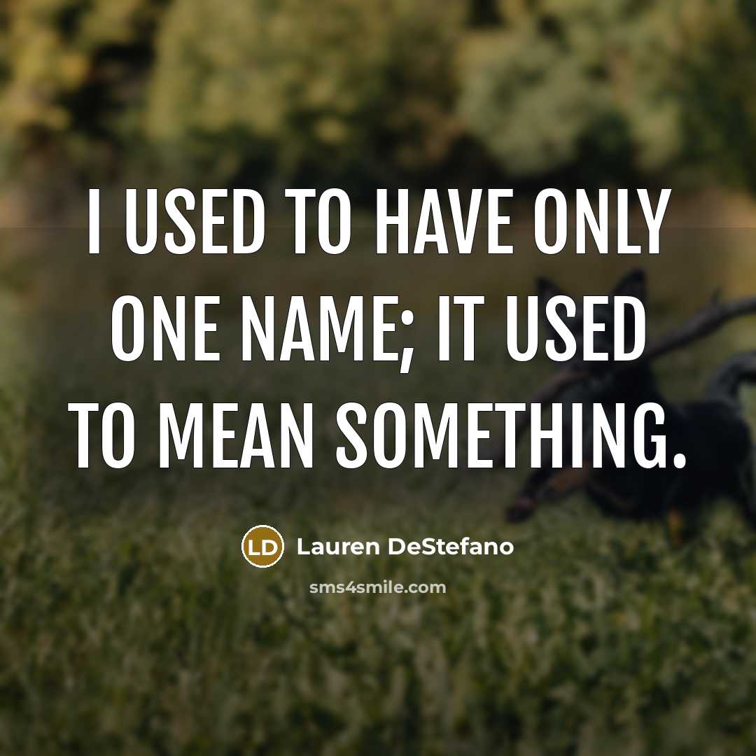 “I used to have only one name; it used to…” quote by Lauren DeStefano