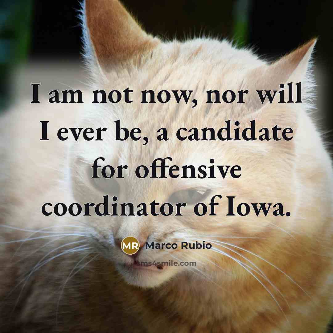 “I am not now, nor will I ever be, a…” quote by Marco Rubio