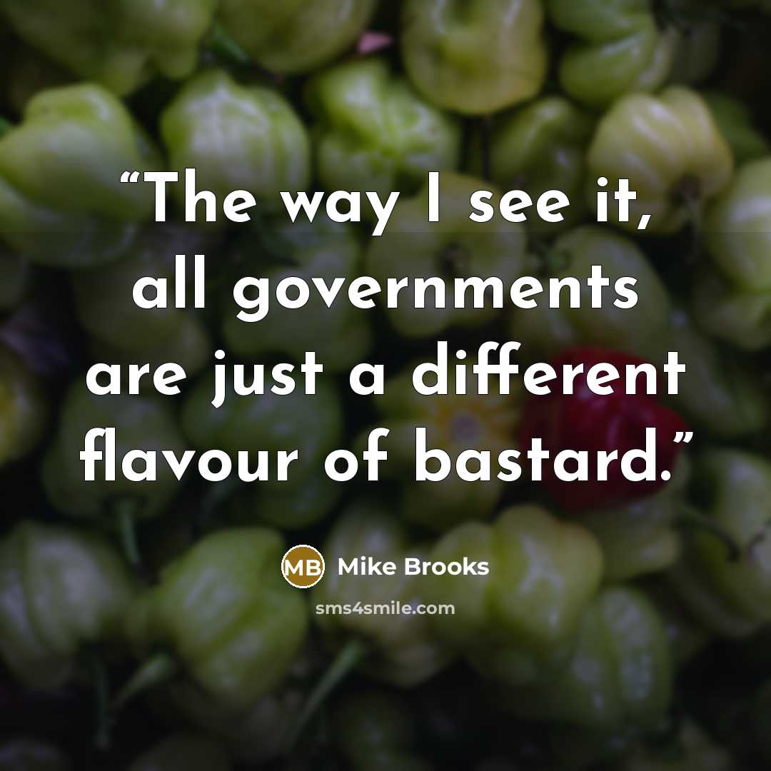 “The way I see it, all governments are just a different flavour of bastard.” quote by Mike Brooks