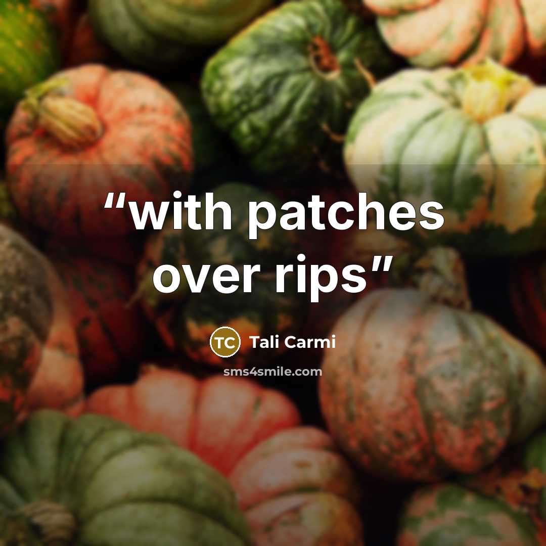 “with patches over rips” quote by Tali Carmi