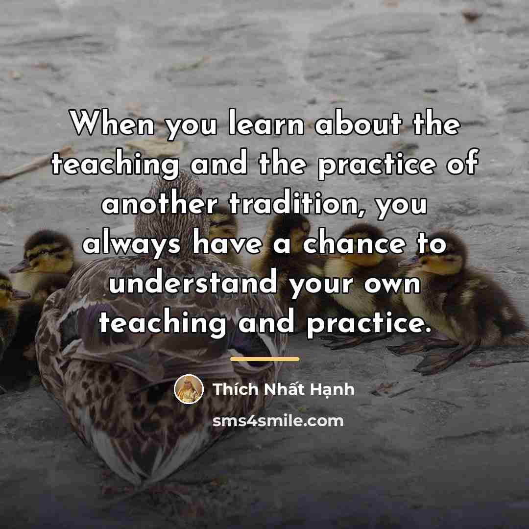 “When you learn about the teaching and the practice of…” quote by Thich Nhat Hanh