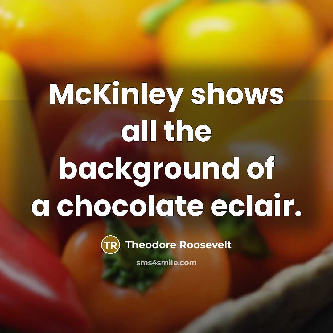 “McKinley shows all the background of a chocolate eclair.…” quote by Theodore Roosevelt