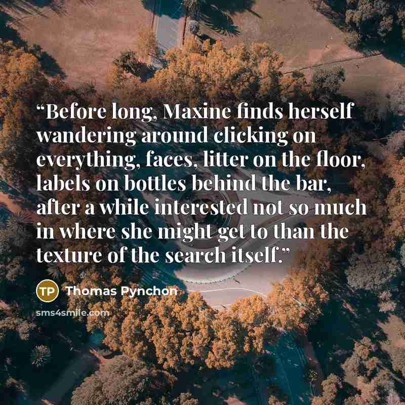 “Before long, Maxine finds herself wandering around clicking on everything, faces, litter on the floor, labels on bottles behind the bar, after a while interested not so much in where she might get to than the texture of the search itself.” quote by Thomas Pynchon
