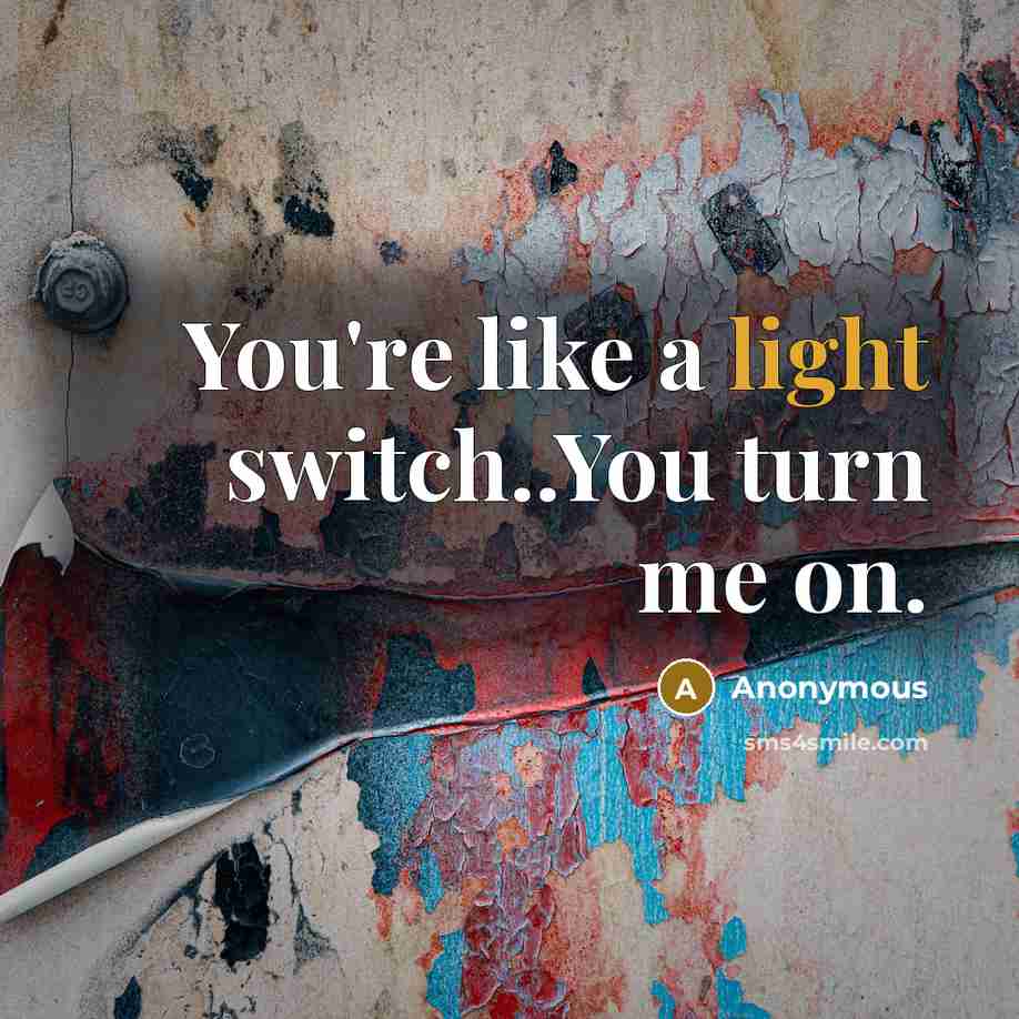 “You're like a light switch..You turn me on.…” quote by Anonymous