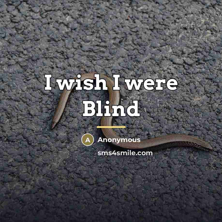 “I wish I were Blind…” quote by Niva
