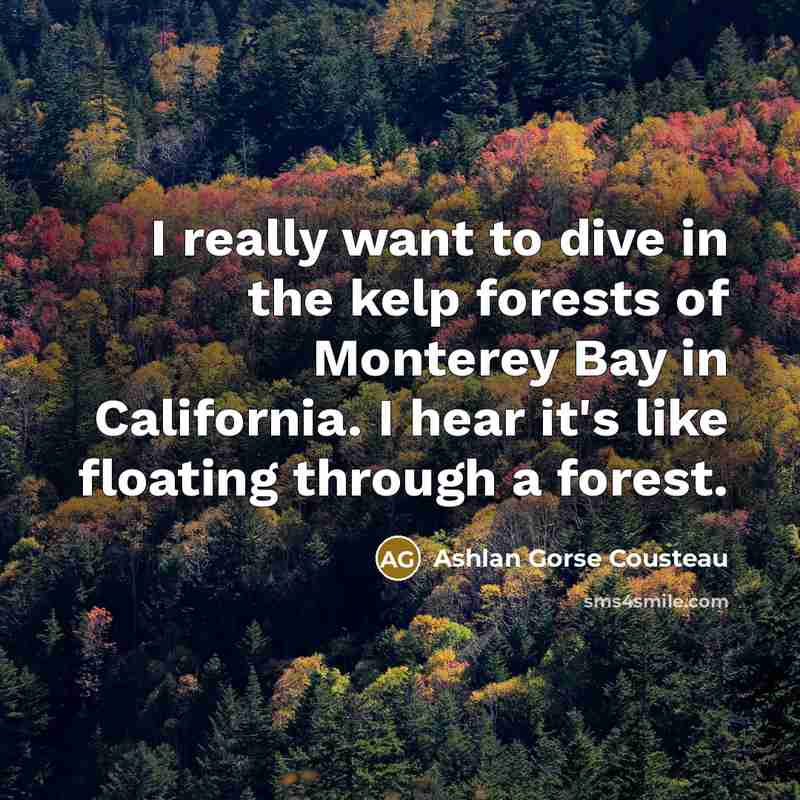 “I really want to dive in the kelp forests of…” quote by Ashlan Gorse Cousteau