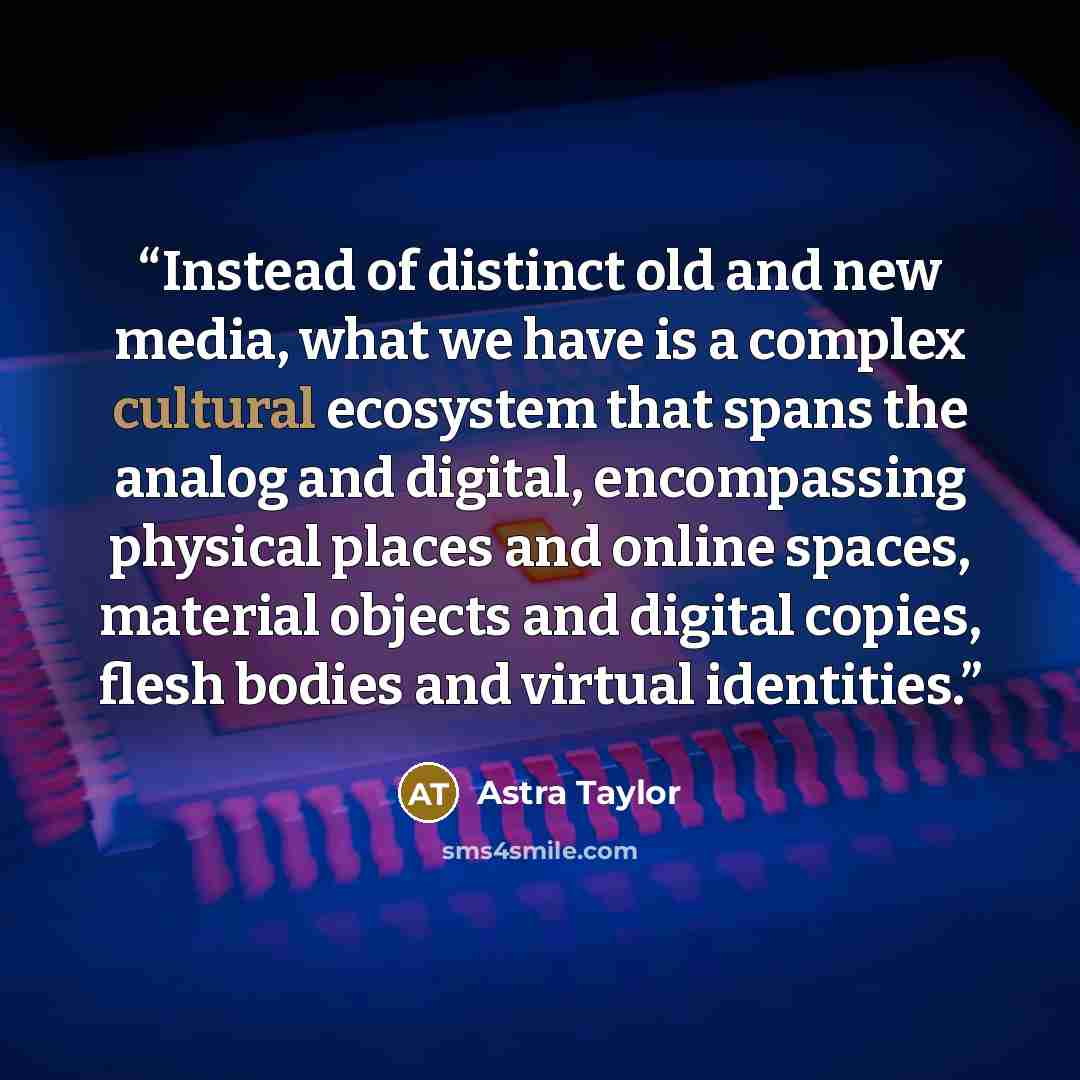“Instead of distinct old and new media, what we have is a complex cultural ecosystem that spans the analog and digital, encompassing physical places and online spaces, material objects and digital copies, flesh bodies and virtual identities.” quote by Astra Taylor