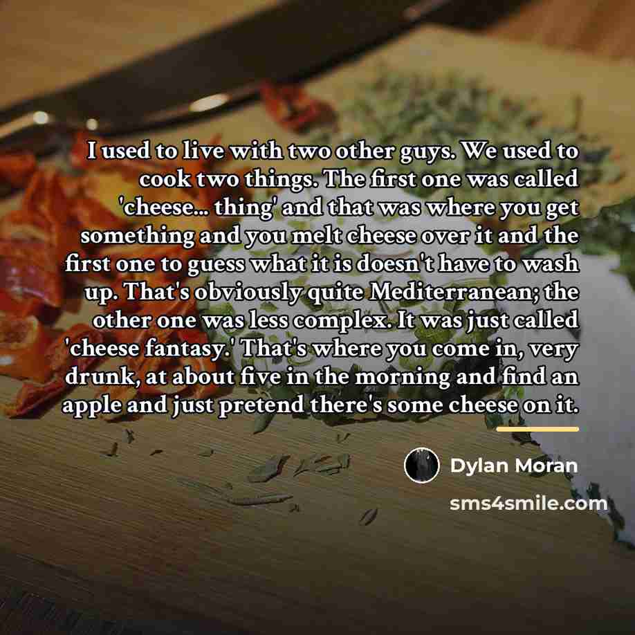 “I used to live with two other guys. We used…” quote by Dylan Moran