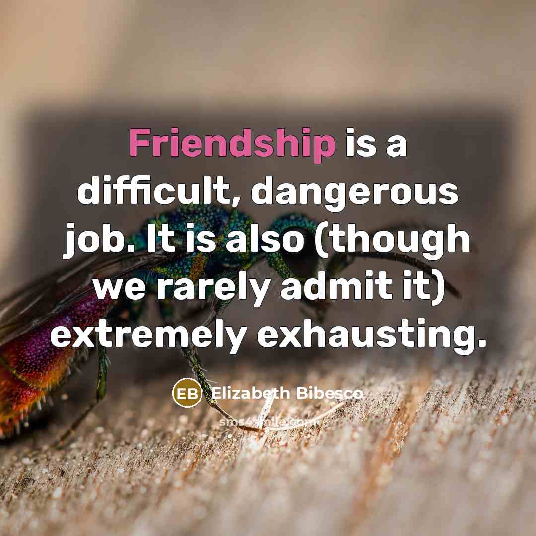 “Friendship is a difficult, dangerous job. It is also (though…” quote by Elizabeth Bibesco