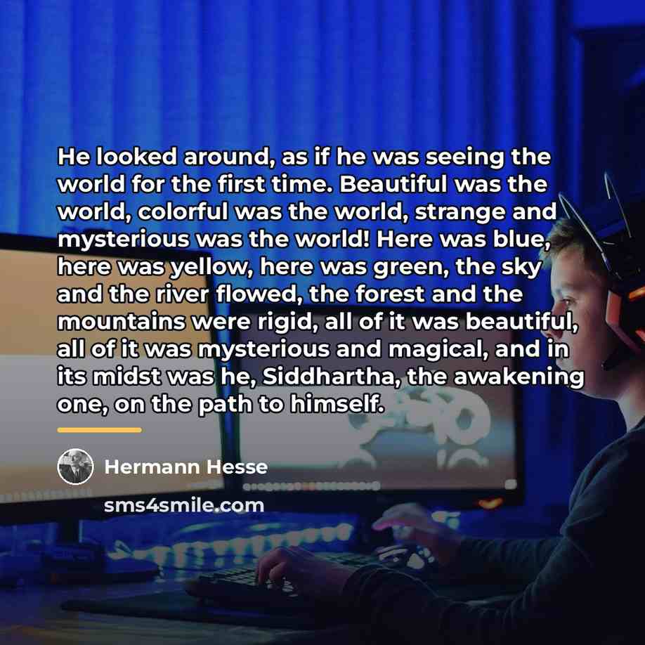 “He looked around, as if he was seeing the world…” quote by Hermann Hesse