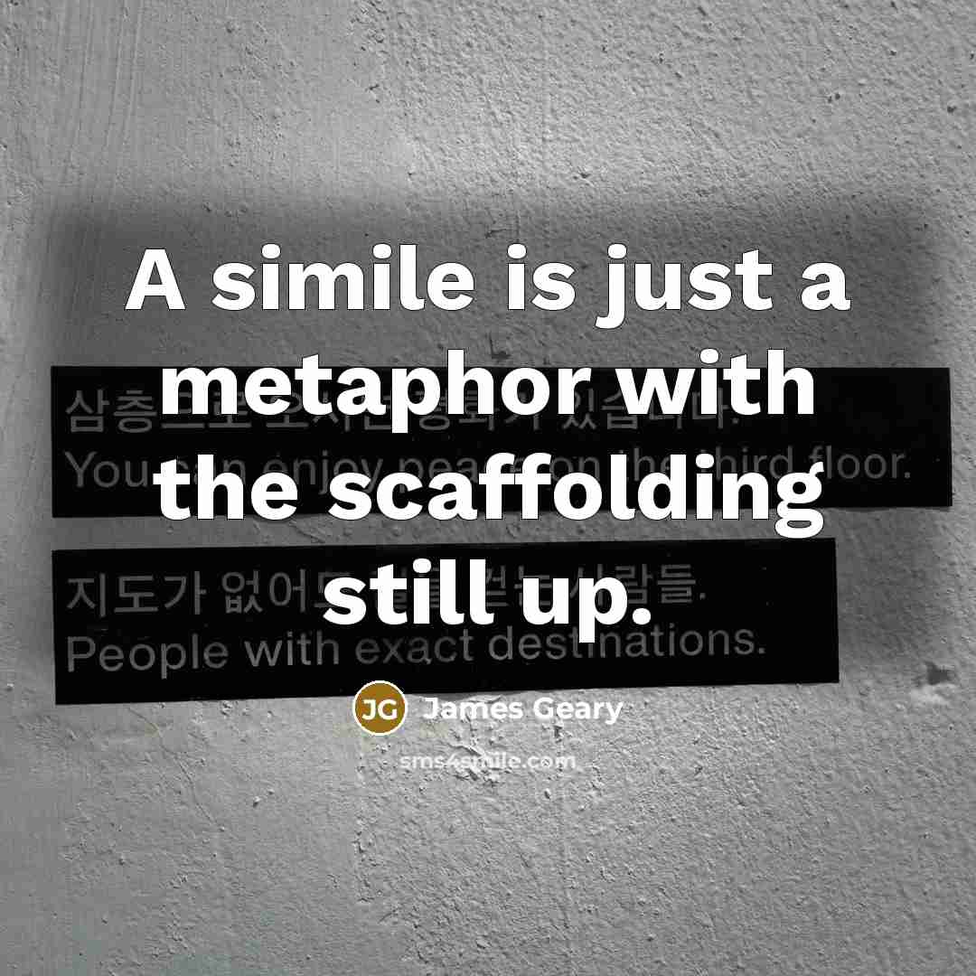 “A simile is just a metaphor with the scaffolding still…” quote by James Geary