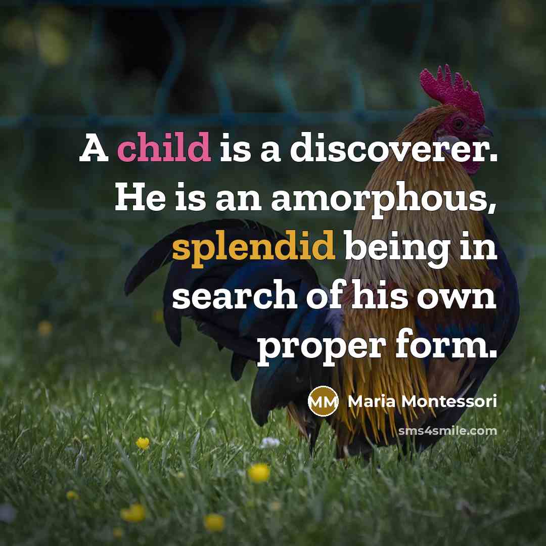 “A child is a discoverer. He is an amorphous, splendid…” quote by Maria Montessori