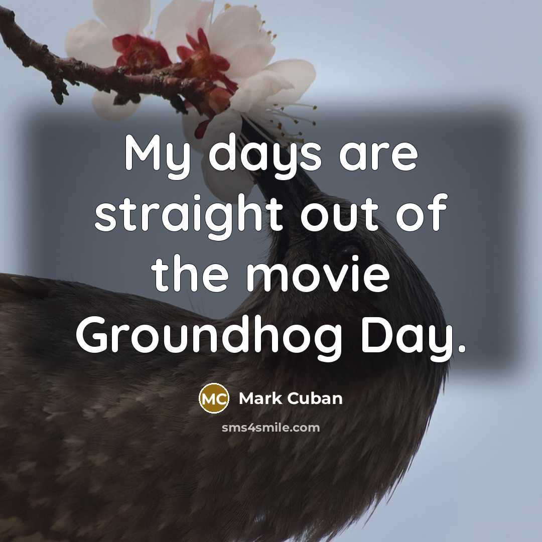 “My days are straight out of the movie Groundhog Day.…” quote by Mark Cuban