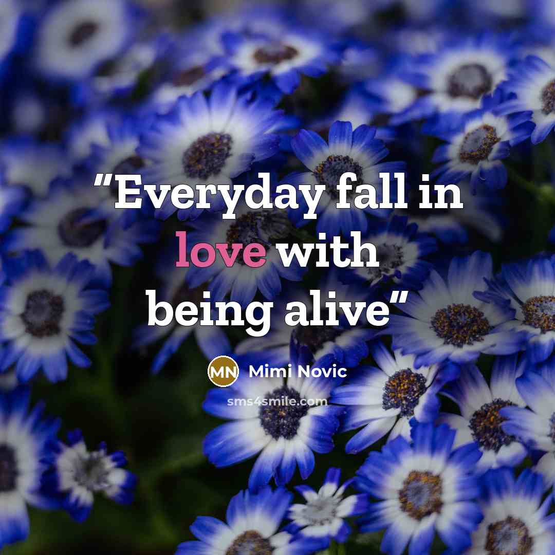 “Everyday fall in love with being alive” quote by Mimi Novic