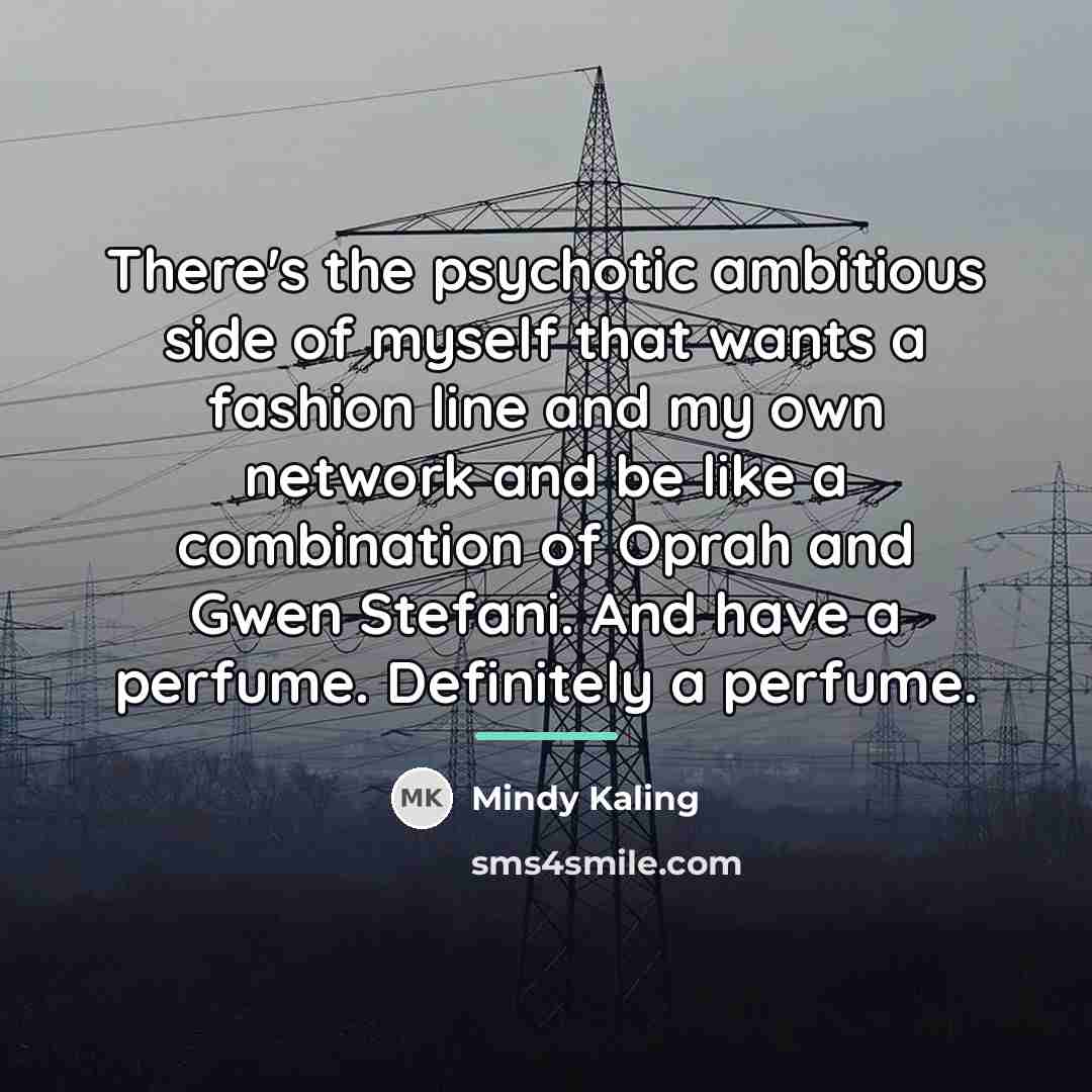 “There's the psychotic ambitious side of myself that wants a…” quote by Mindy Kaling