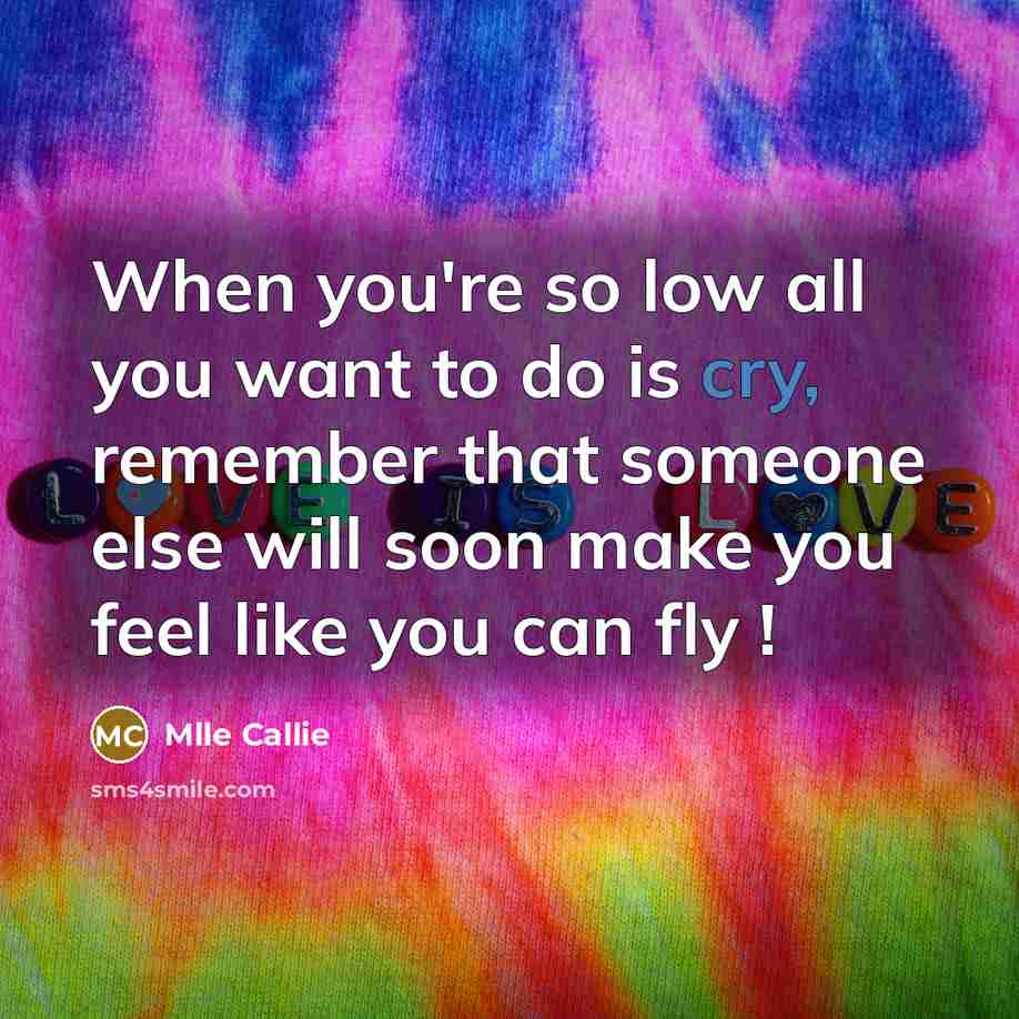 “When you're so low all you want to do is cry, remember that someone else will soon make you feel like you can fly !” quote by Mlle Callie