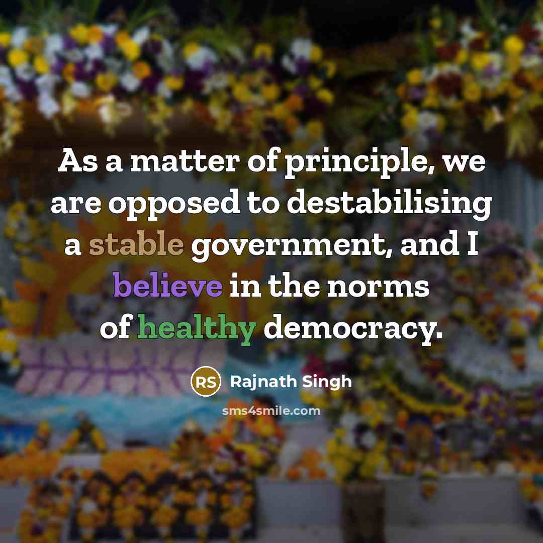 “As a matter of principle, we are opposed to destabilising…” quote by Rajnath Singh