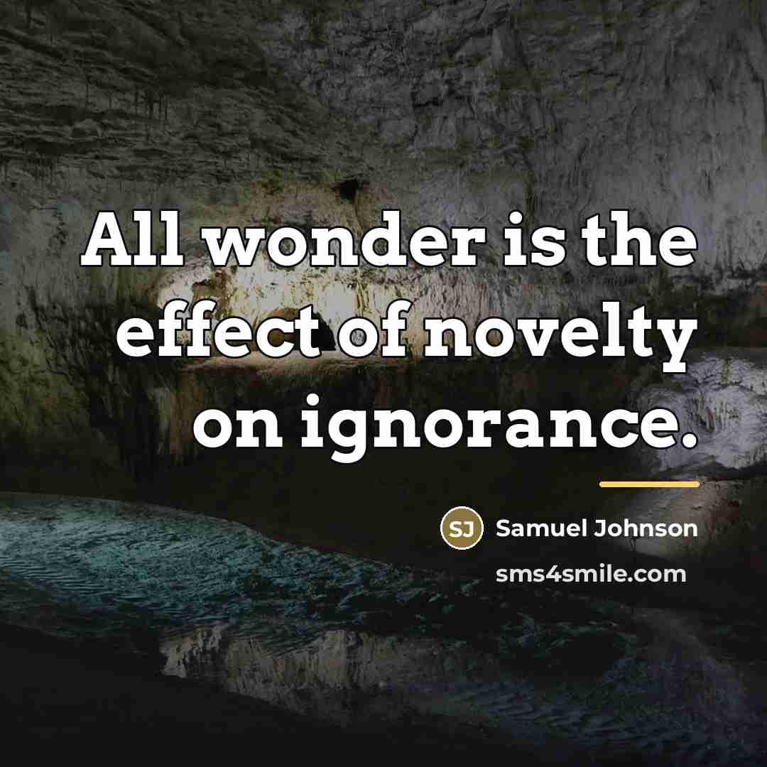 “All wonder is the effect of novelty on ignorance.…” quote by Samuel Johnson
