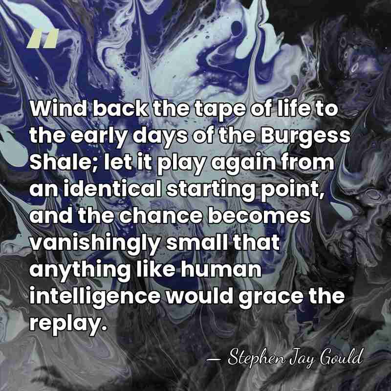 Wind back the tape of life to the early days of the&hellip; - Stephen Jay Gould