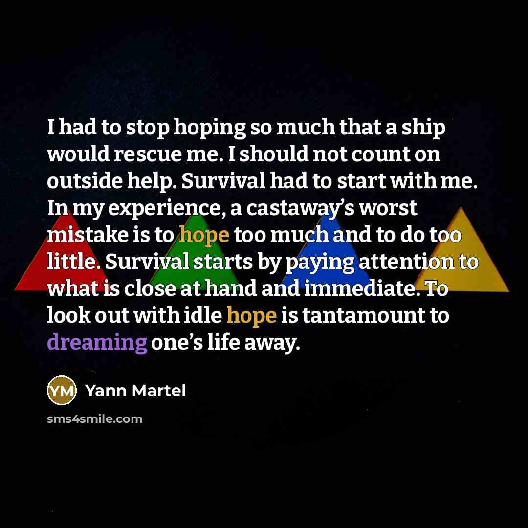 “I had to stop hoping so much that a ship…” quote by Yann Martel