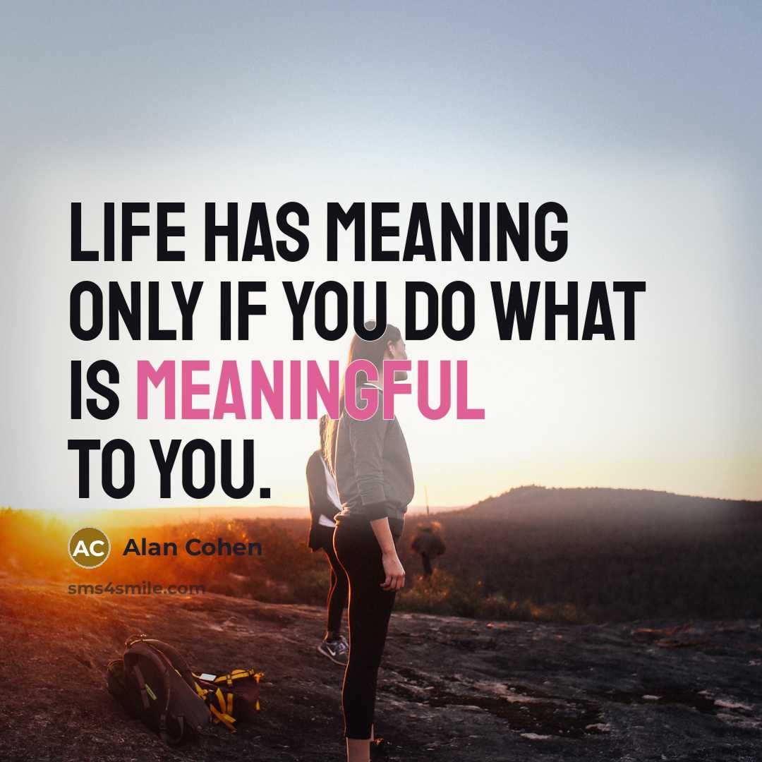 “Life has meaning only if you do what is meaningful…” quote by Alan Cohen