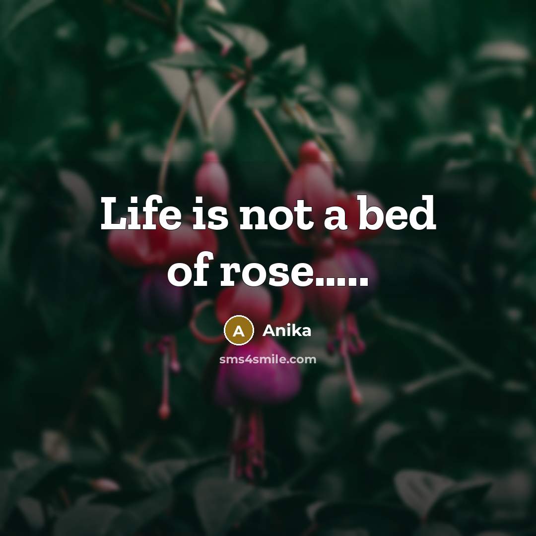 “Life is not a bed of rose..........…” quote by Anika