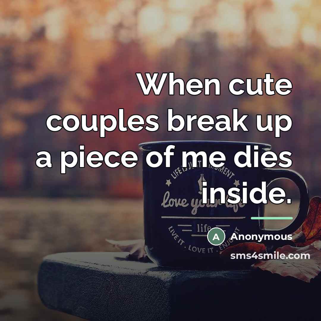 “When cute couples break up a piece of me dies…” quote by Anonymous