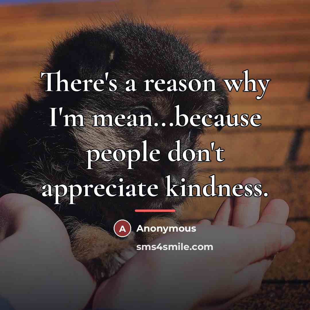 “There's a reason why I'm mean...because people don't appreciate kindness.…” quote by Anonymous