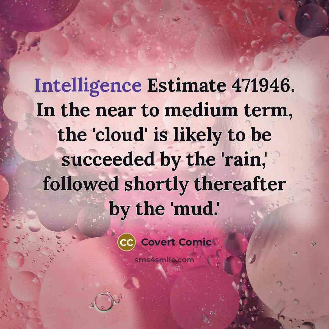 “Intelligence Estimate 471946. In the near to medium term, the 'cloud' is likely to be succeeded by the 'rain,' followed shortly thereafter by the 'mud.'” quote by Covert Comic
