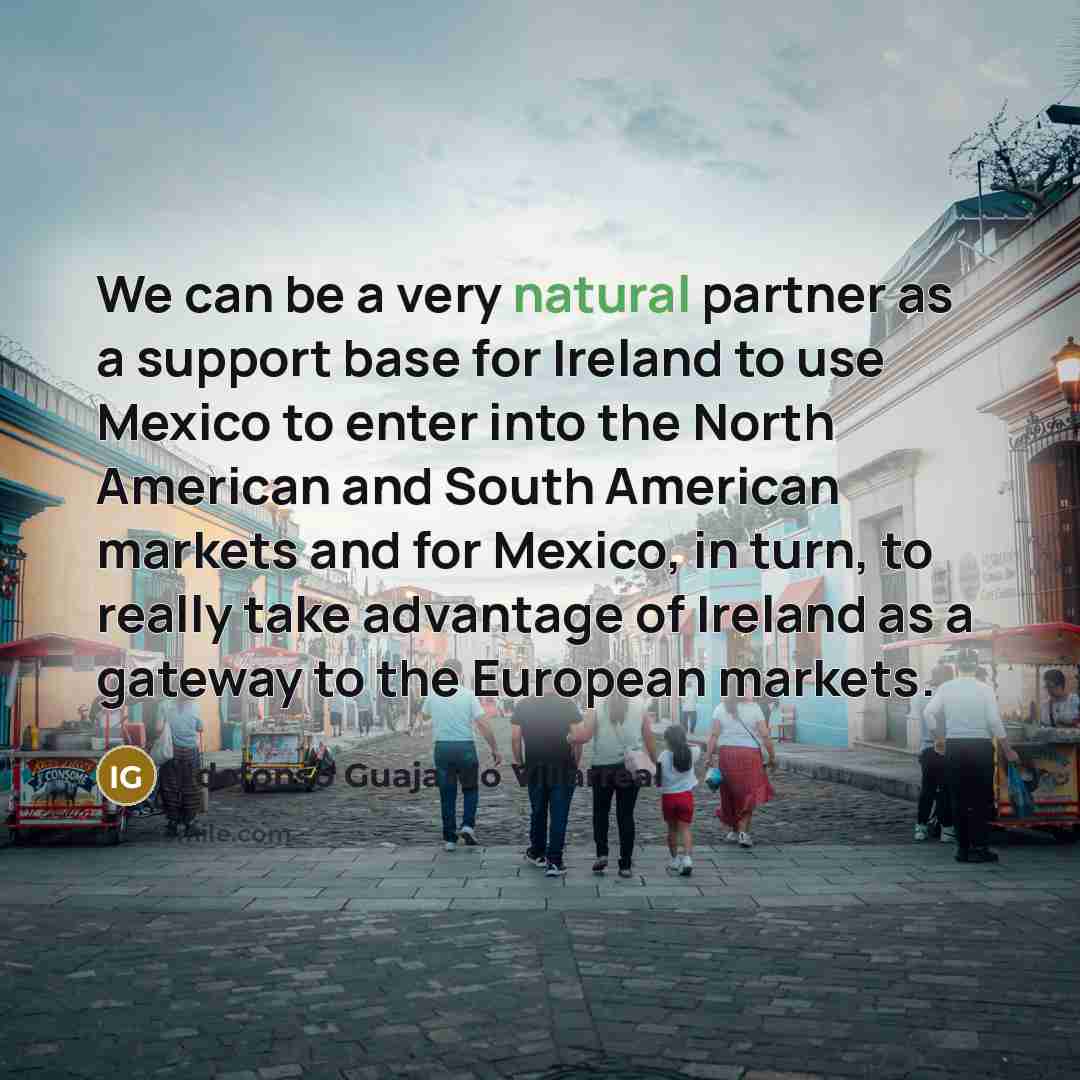 “We can be a very natural partner as a support…” quote by Ildefonso Guajardo Villarreal