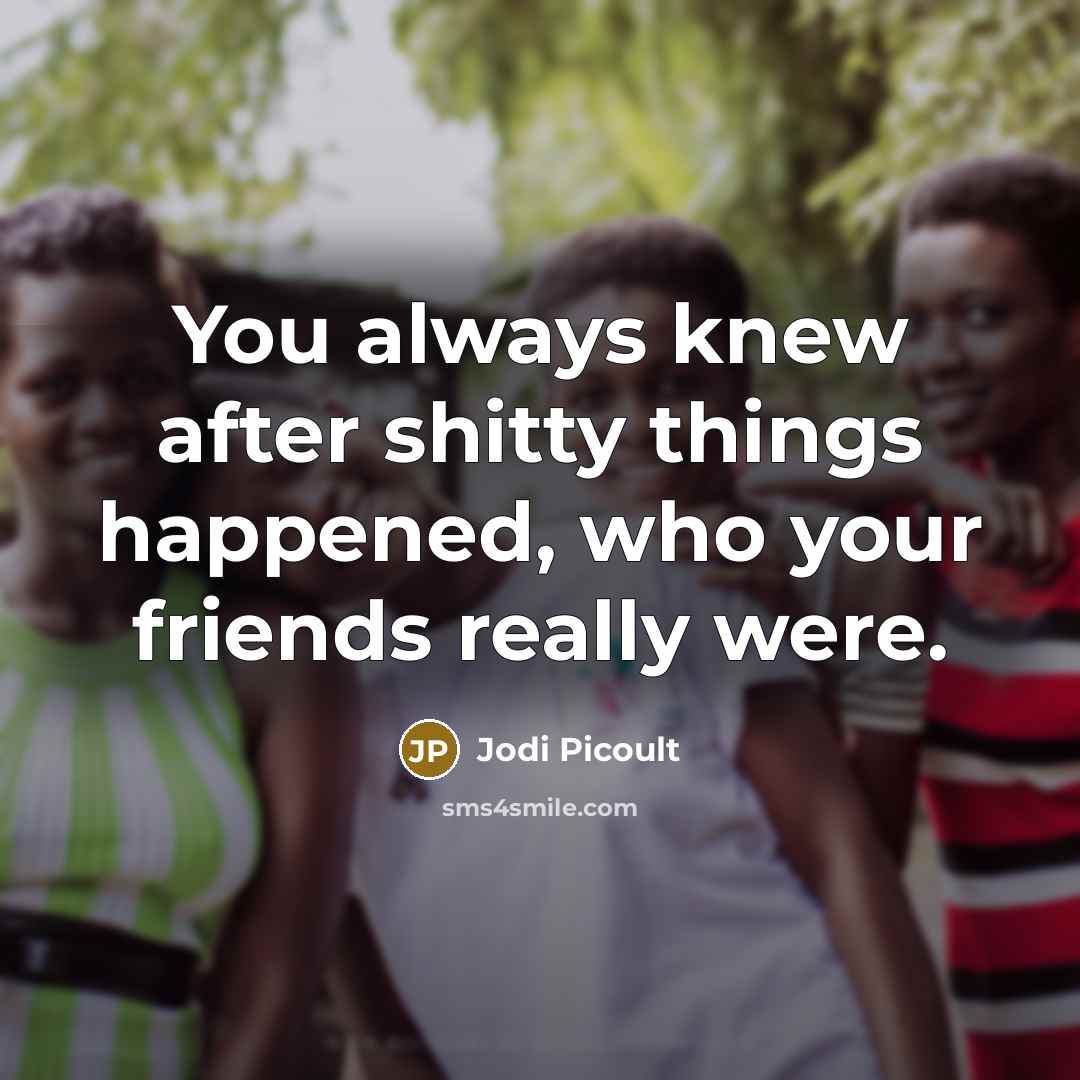 “You always knew after shitty things happened, who your friends…” quote by Jodi Picoult