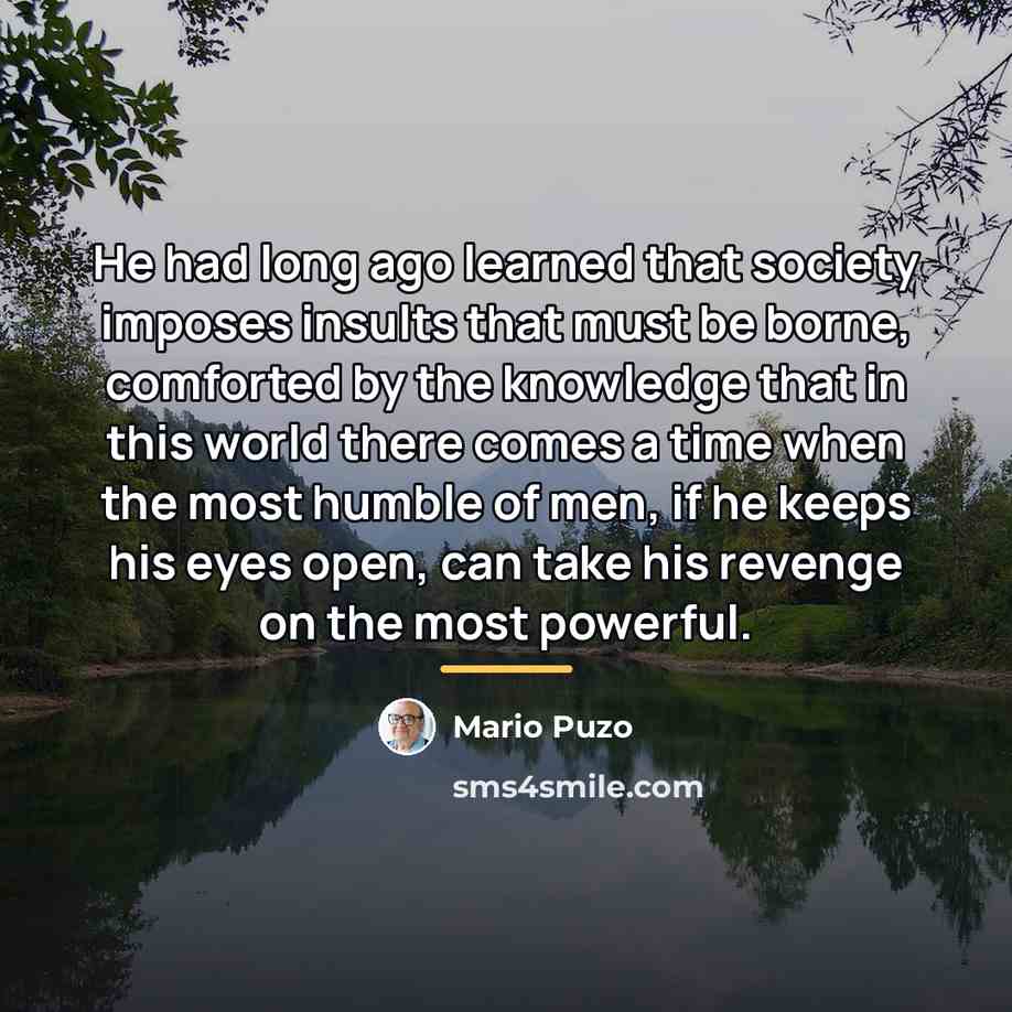 “He had long ago learned that society imposes insults that…” quote by Mario Puzo