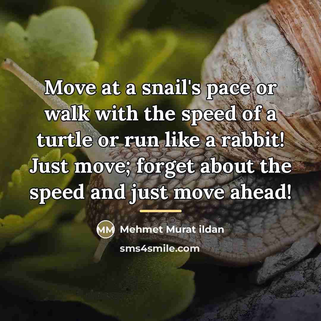 “Move at a snail's pace or walk with the speed…” quote by Mehmet Murat Ildan