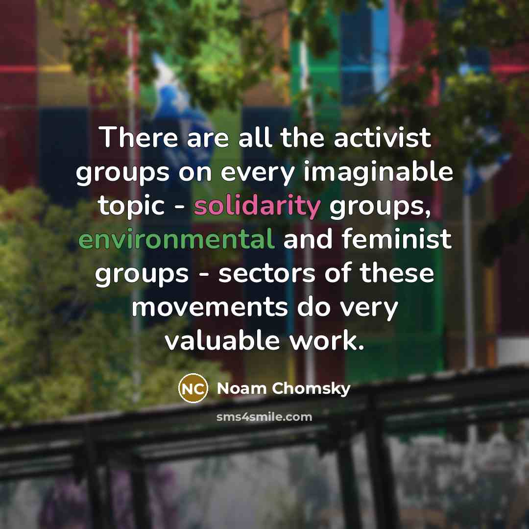 “There are all the activist groups on every imaginable topic - solidarity groups, environmental and feminist groups - sectors of these movements do very valuable work.” quote by Noam Chomsky