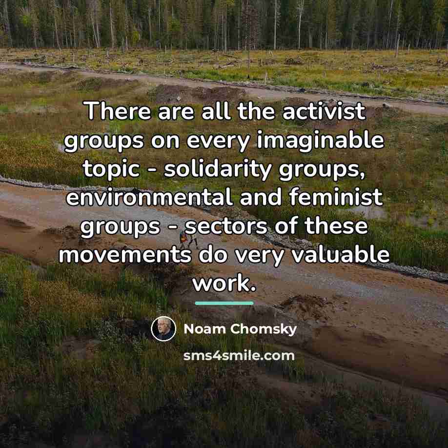 “There are all the activist groups on every imaginable topic…” quote by Noam Chomsky