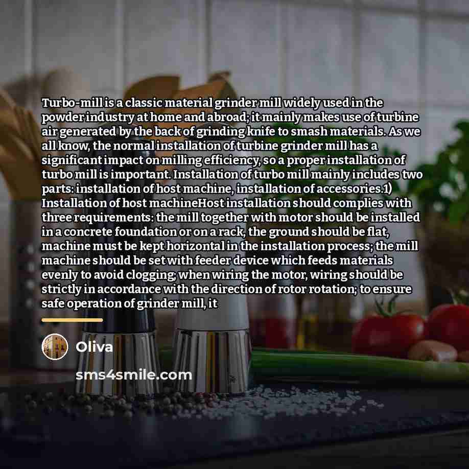 “Turbo-mill is a classic material grinder mill widely used in…” quote by Oliva