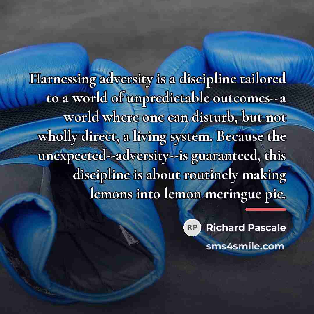 “Harnessing adversity is a discipline tailored to a world of…” quote by Richard Pascale