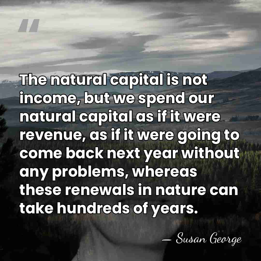 The natural capital is not income, but we spend our natural capital&hellip; - Susan George