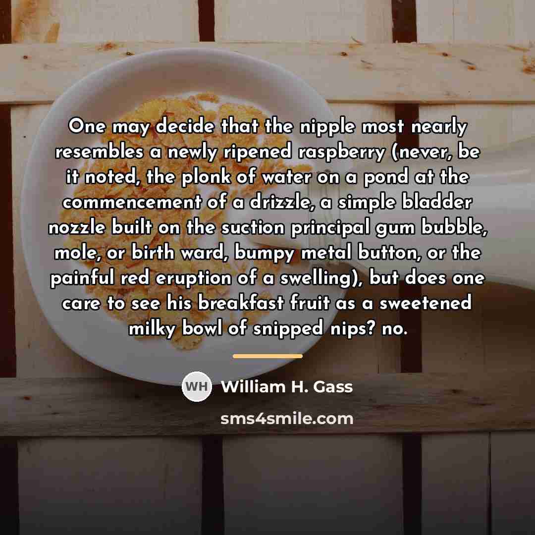 “One may decide that the nipple most nearly resembles a…” quote by William H. Gass