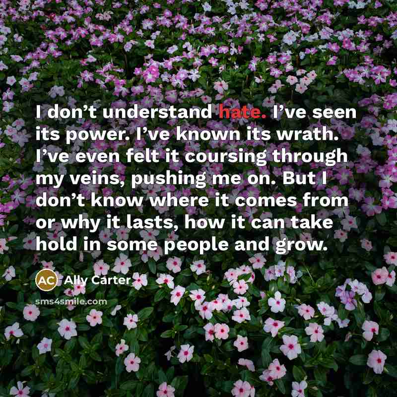 “I don’t understand hate. I’ve seen its power. I’ve known…” quote by Ally Carter
