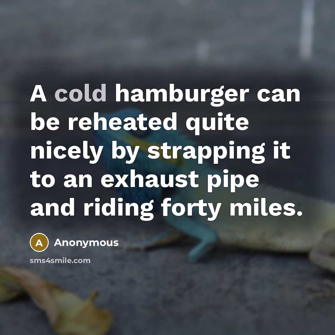 “A cold hamburger can be reheated quite nicely by strapping…” quote by Anonymous