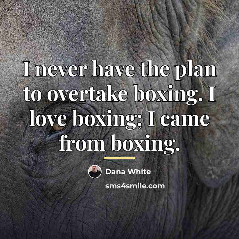 “I never have the plan to overtake boxing. I love…” quote by Dana White